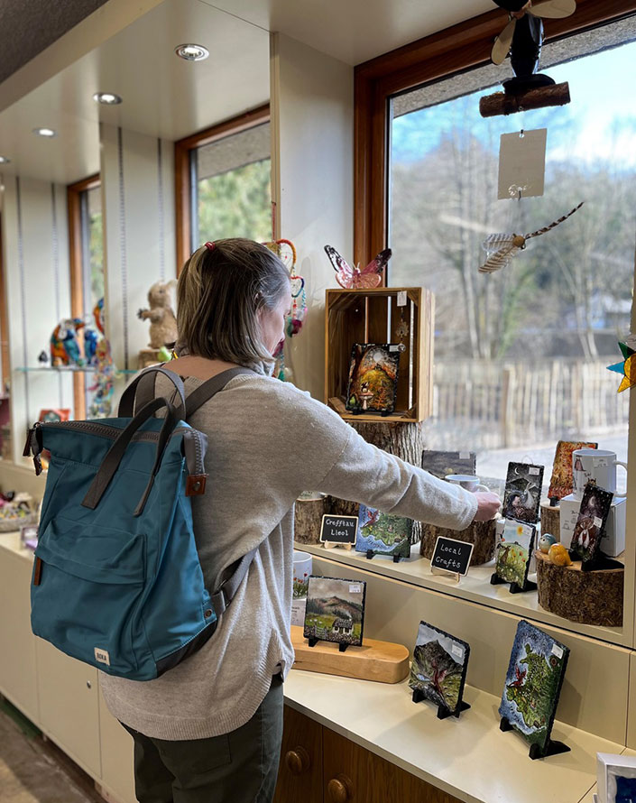 Loggerheads Country Park shop