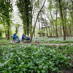 People walking through woods with children