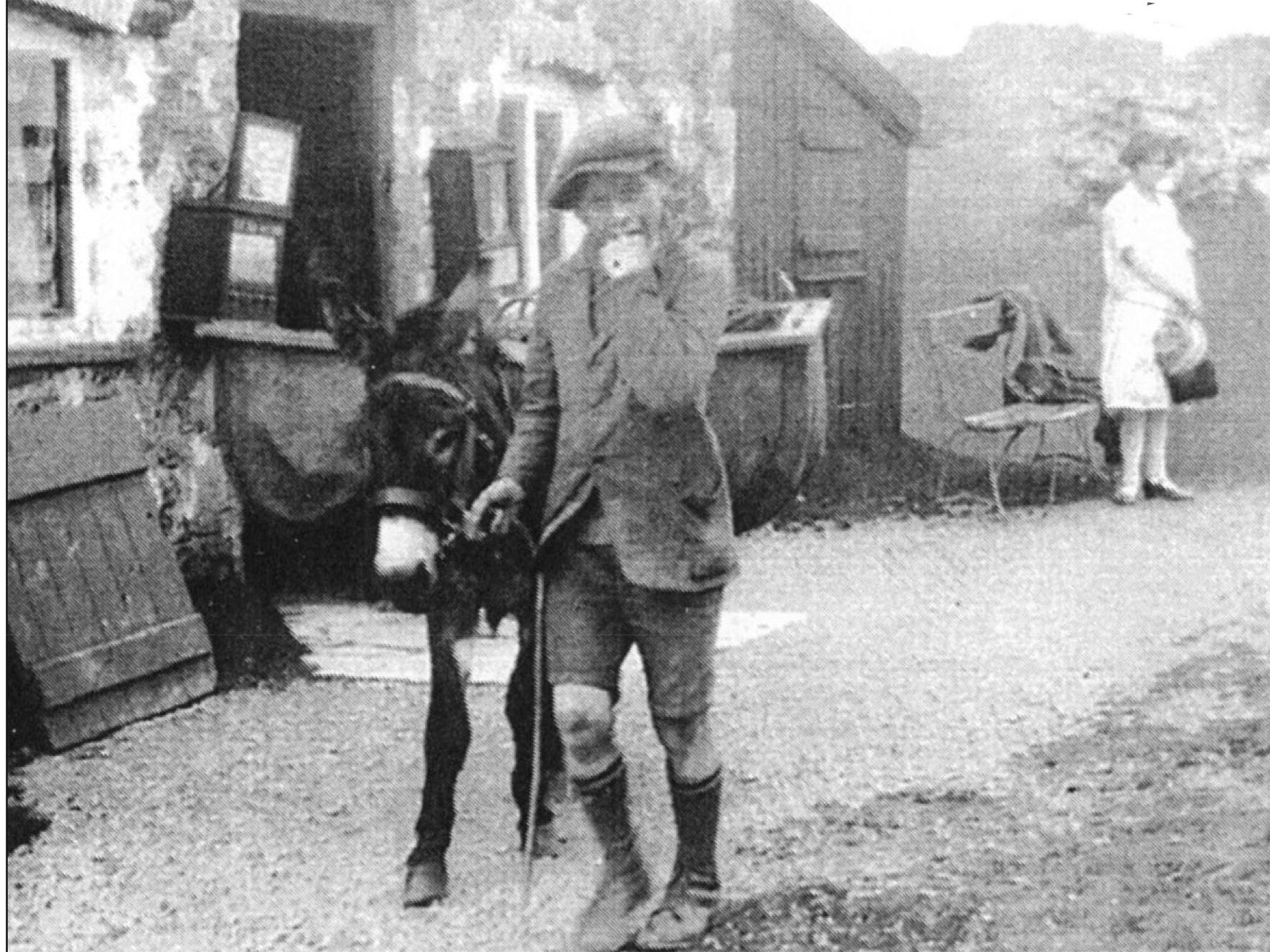 Donkey and boy offering trips to Dinas