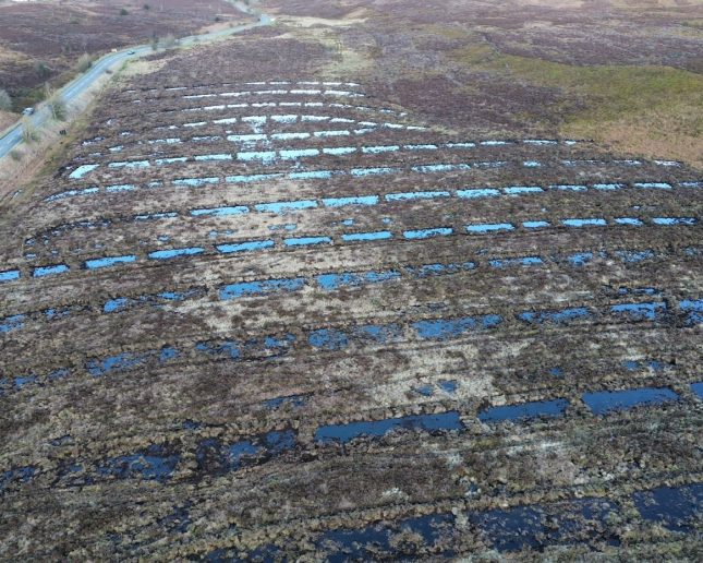 Contour bunding of peatland