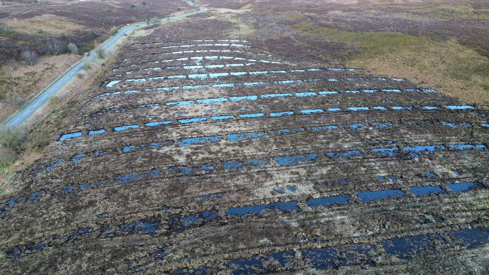 Contour bunding of peatland