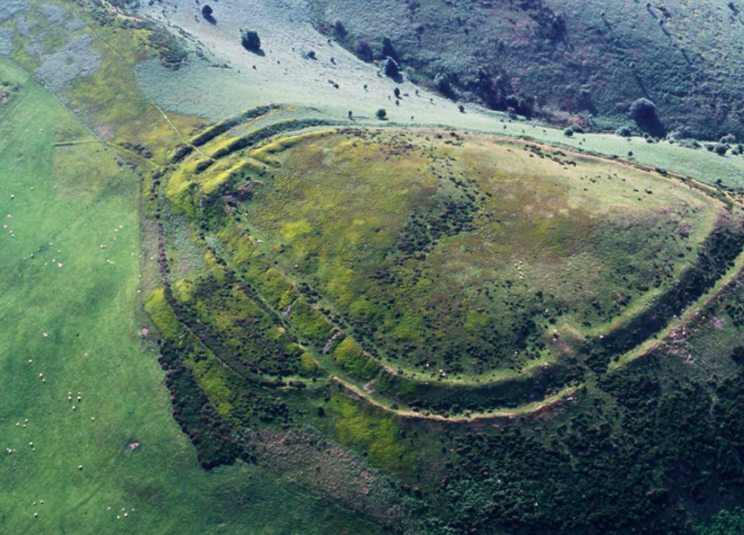 Moel y Gaer Llanbedr