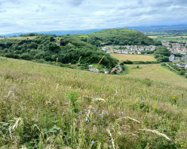 Prestatyn hillside