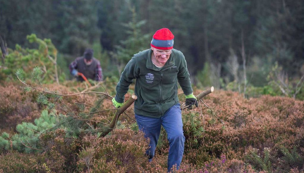 Volunteering in the Clwydian Range