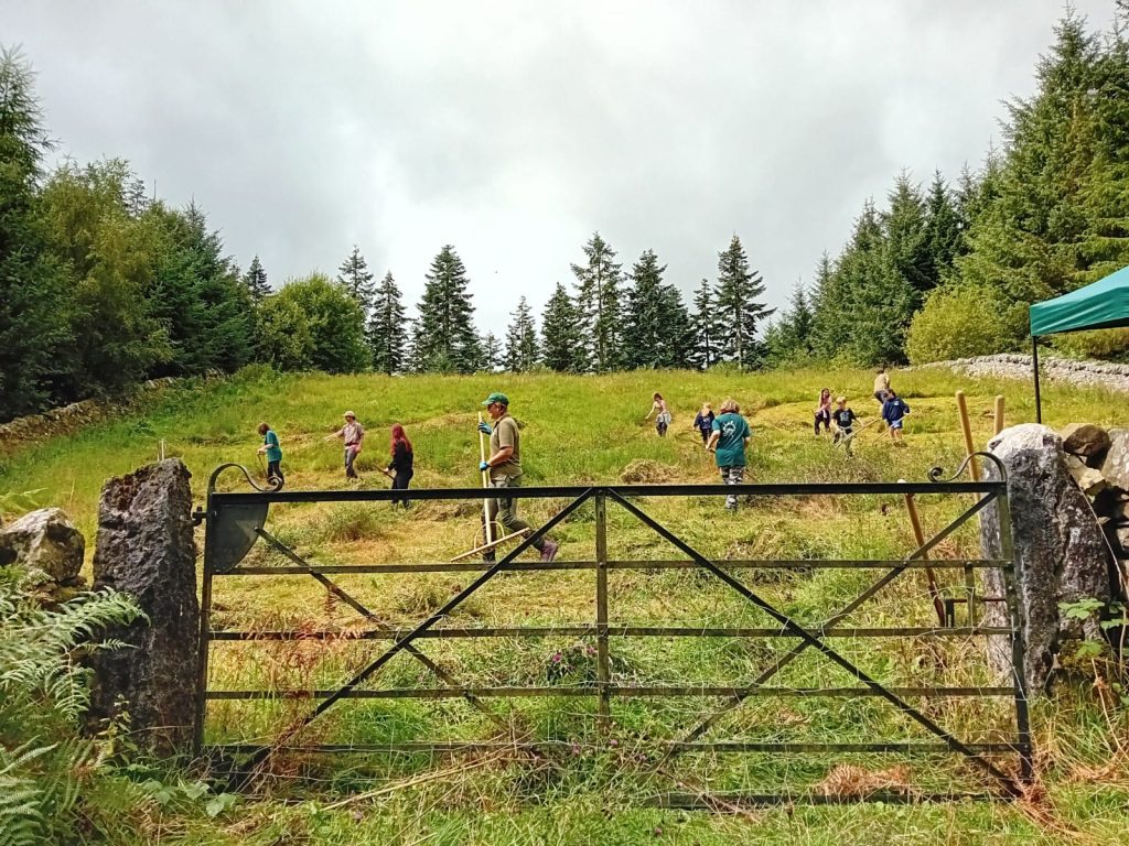 Young rangers scything