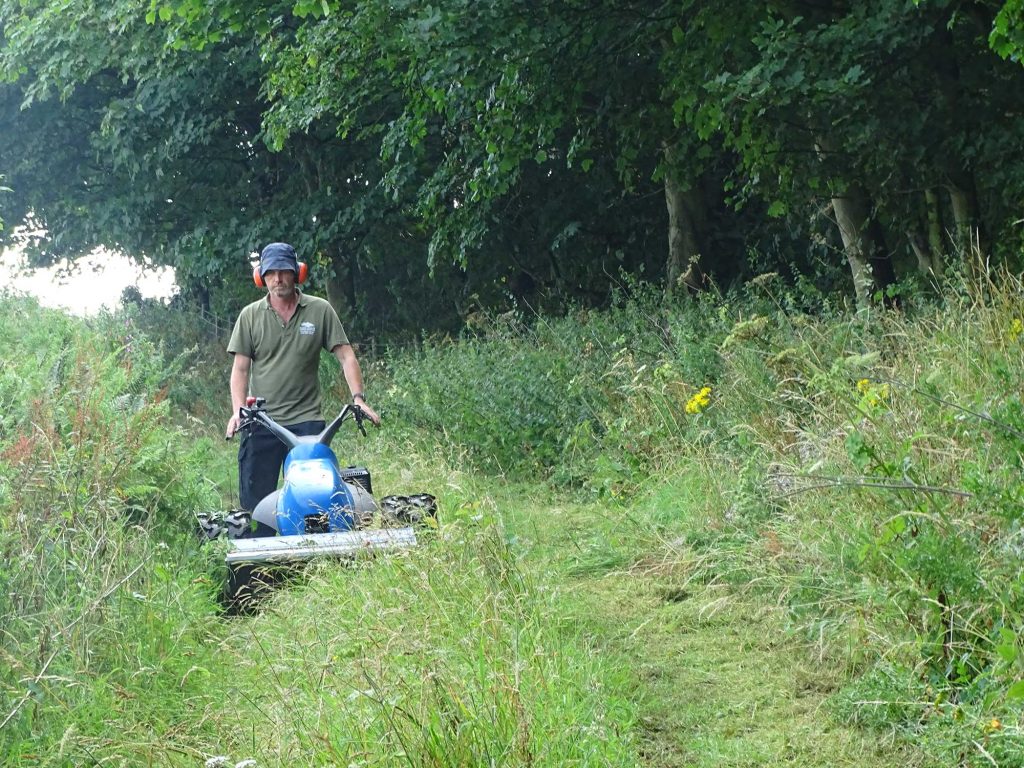 Mowing a wildflower meadow