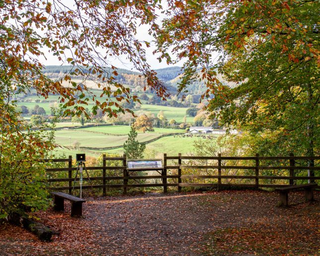 Loggerheads Country Park viewpoint