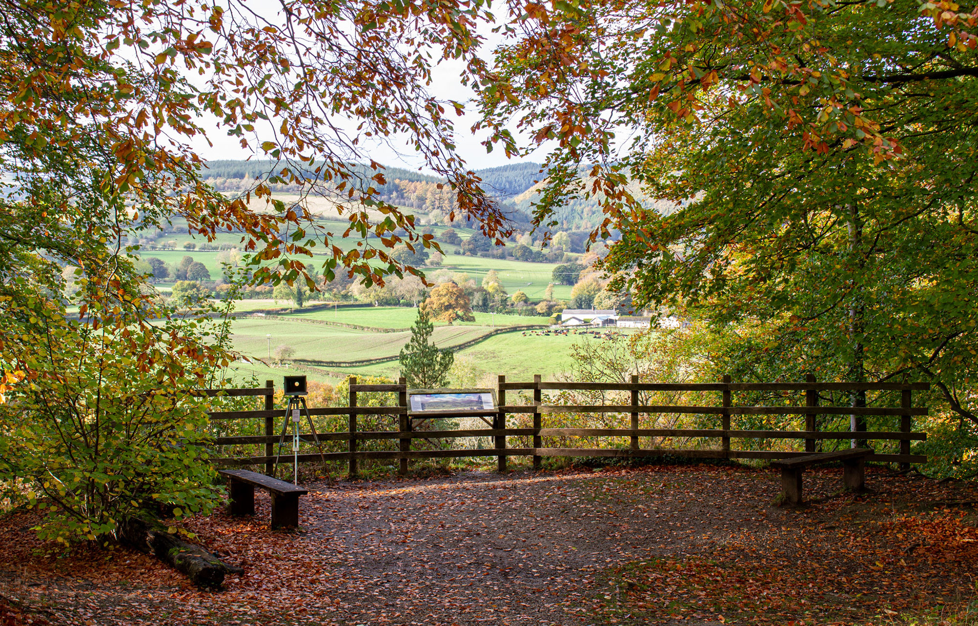 Loggerheads Country Park viewpoint