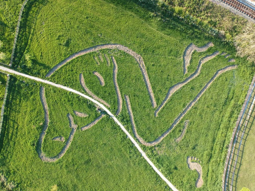 Drewyn yn Cysgu – Drewyn Asleep