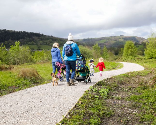 dog walking at Wenffrwd Nature Reserve