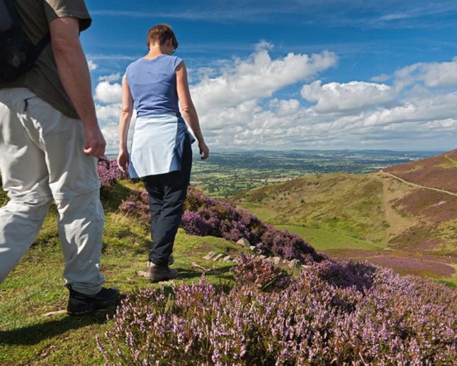 Hill walkers in summer