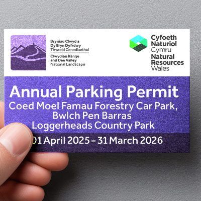 Annual Parking Permit