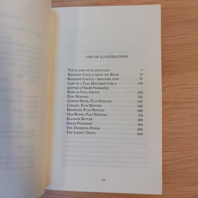 Chase of the Wild Goose book illustrations